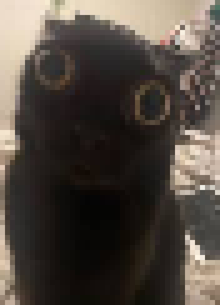 [35dc76] hold on i have an image of what we would become if jimmy and john fused