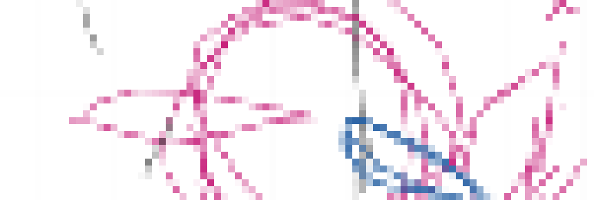 [f6241b] Aw... did i hurt your wittle feelings kalf? gotta run away like the scared weirdo you are? 