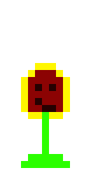 [9664c4] sunflower 