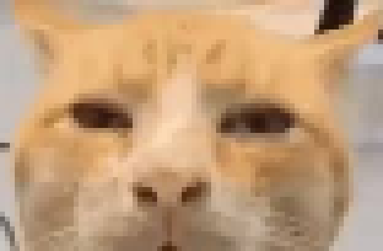 [35dc76] i have consumed the meat sticks placed in bread buns with tomato sauce over top, i shall now go into the indoor rain room