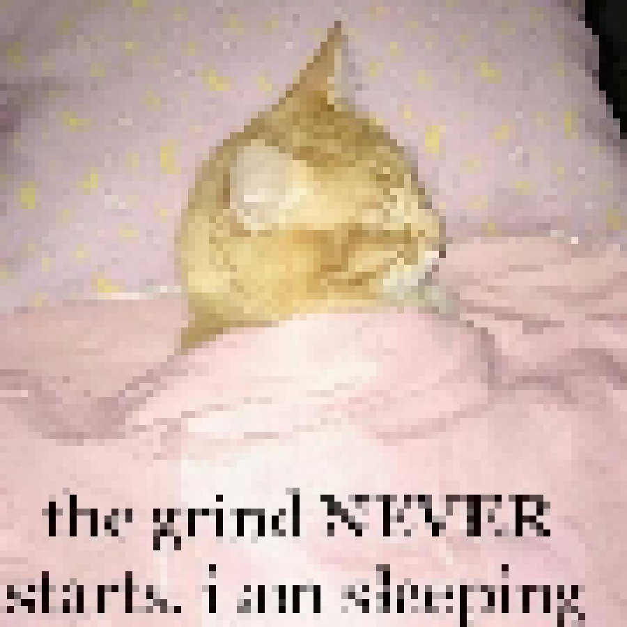 [35dc76] goodnight. i hope you have a good rest too, whenever your next rest may be