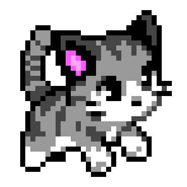 [9664c4] KITTY