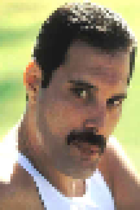 [d54248] wow this import actually looks good on pam