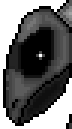 [965131] (1 hp) THIS IS IT, DEADMAN!