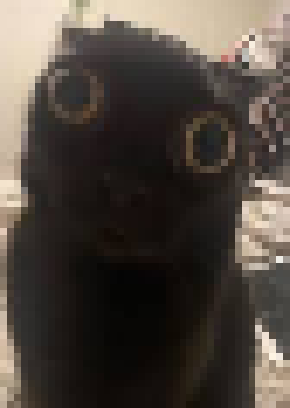 [35dc76] also shh no spoilers shh shut up sHUSH