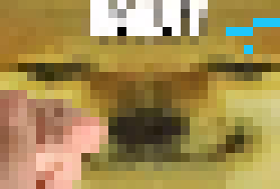 [48193a] Who the fuck even are you? -John