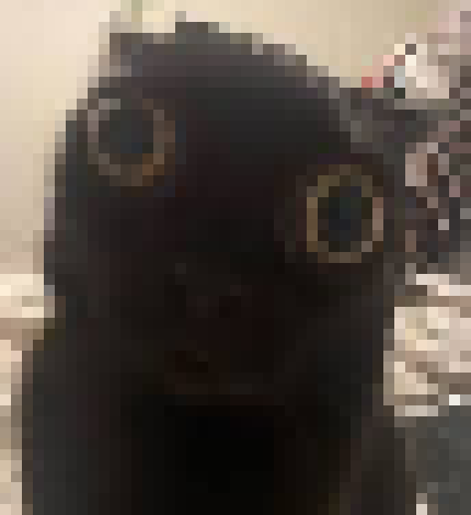 [35dc76] urh someone is drawing a buncha random lines and its kinda going over others drawings