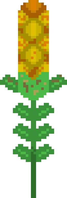 [dd899a] blood big corn