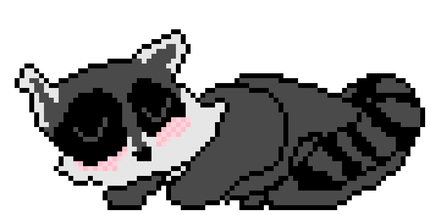 [9664c4] sleeping raccoon