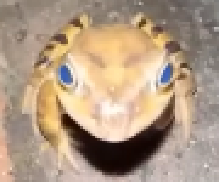 [35dc76] lets go gambling!!! *goes to a random point in my screenshots folder* *jackpot noise*