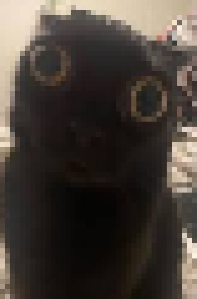 [35dc76] HEY WAIT WAIT I WAS JOKING WAI