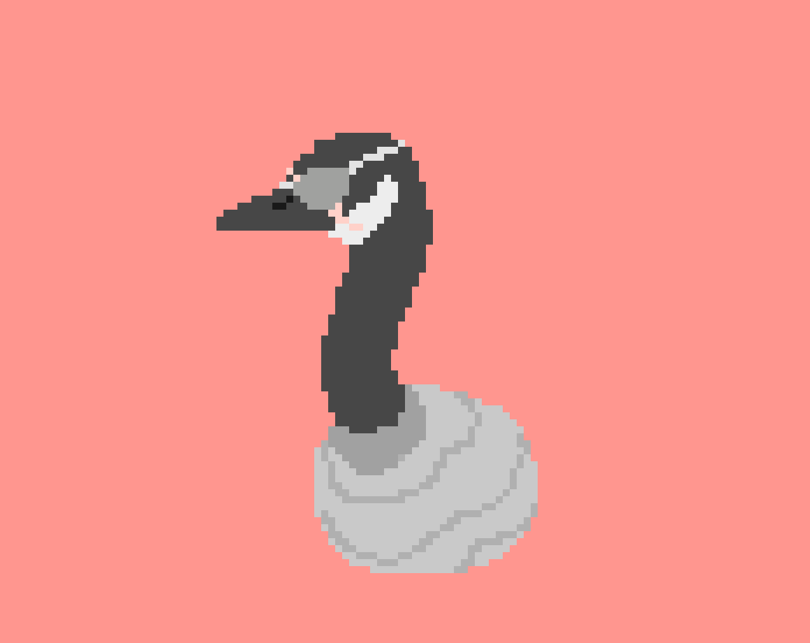 [9664c4] goose
