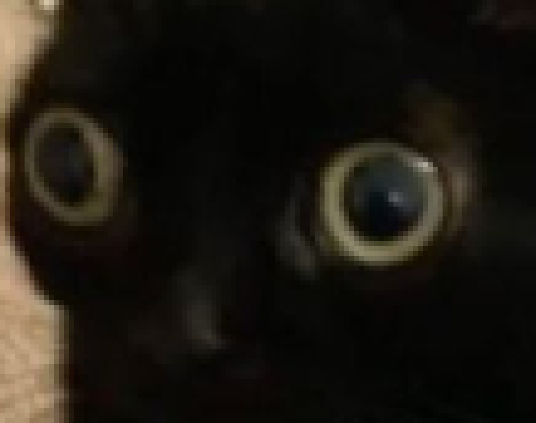 [a56108] Come here Kennedy-