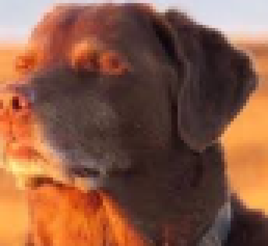 [63ea65] I was then shot 73 times by an M60 Light Machine Gun.