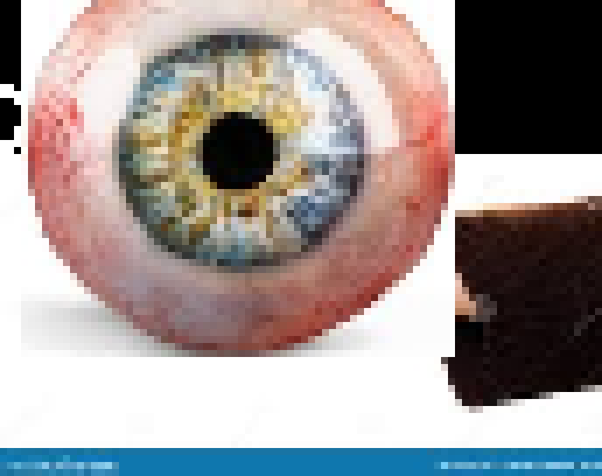 [441384] transaction complete take the eye (gtg brb maybe)