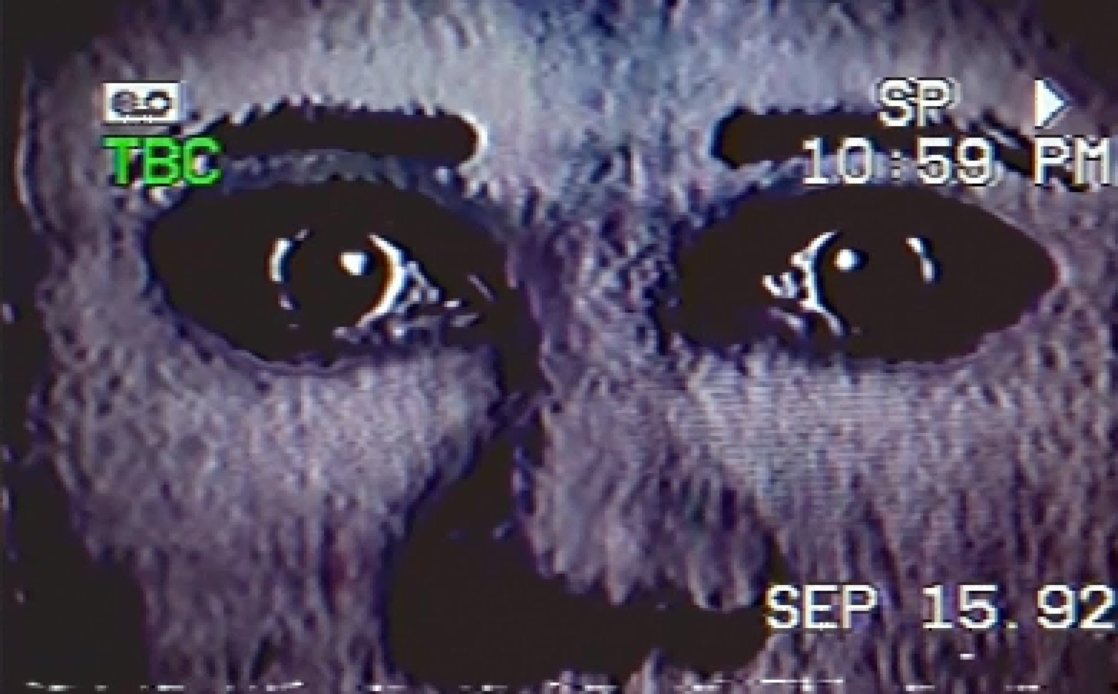 [1f86ca] "you can do anything...."