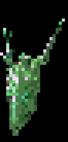 [038bf1] MWEEP. - Gunther.