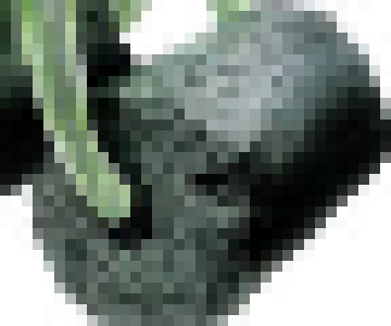 [990543] (I'm wheezing rn)