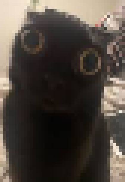 all saved in no particular order