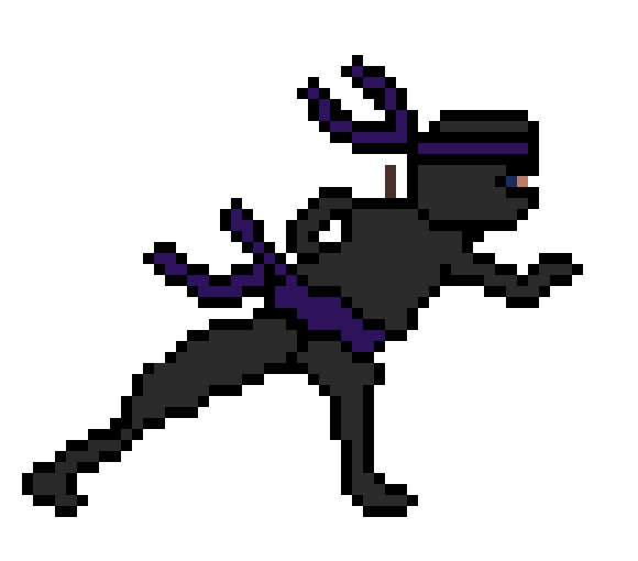 Running Ninja
