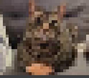 [98cc08] THATS WHAT I TRIED TO DO