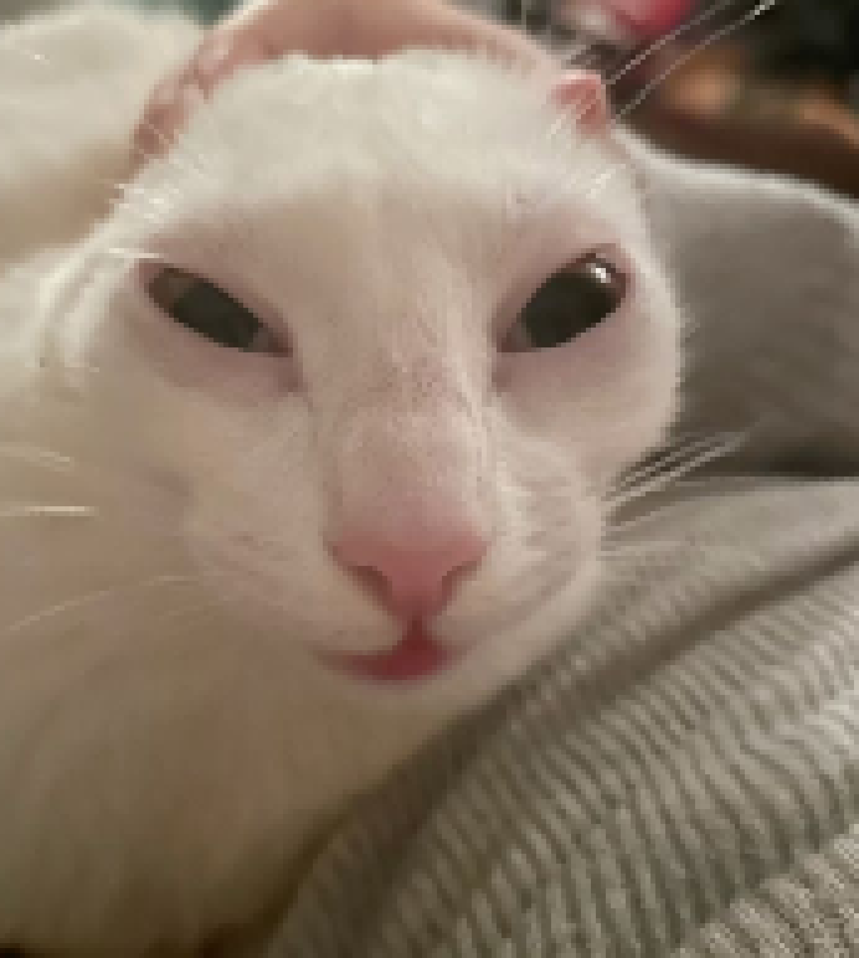 [69fad0] i finally feel like im the only normal person in a group