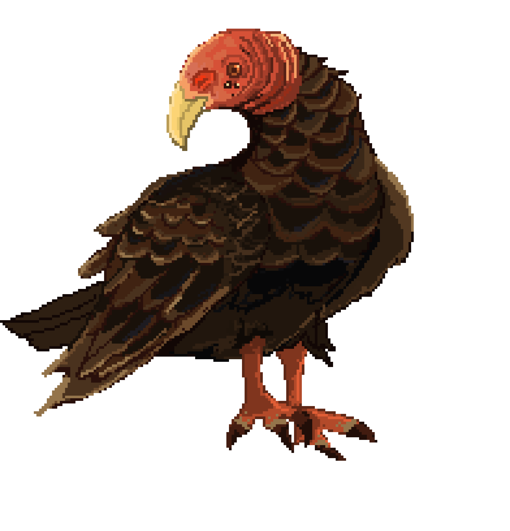 [b1f3df] turkey vulture