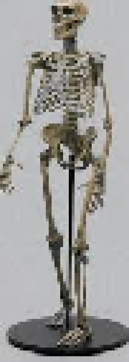 [ac00c9] bad to the bone riff