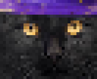 [816c09] Wate- *Explodes*