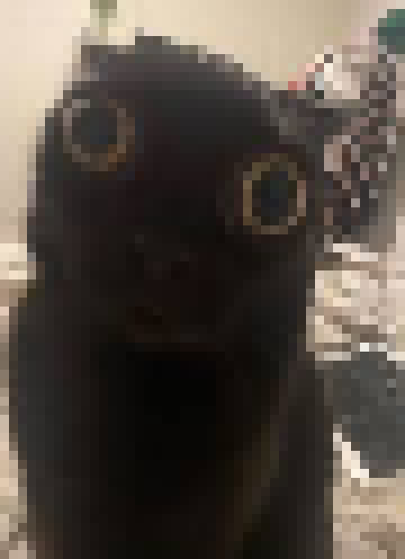 just saved all my sprite sheets, i think im good to update my laptop now