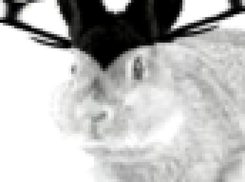 [f5254f] looks at you