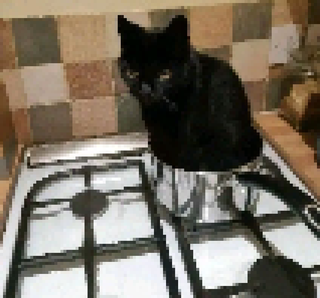 [ccce07] this is TRUE lexi