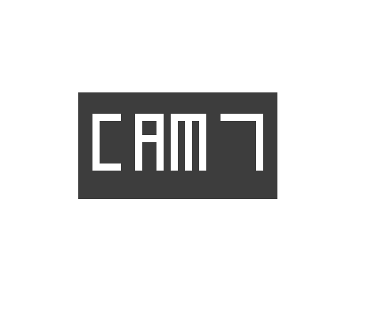 CAM 1 button