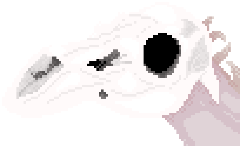 [a2471d] And once someone gets far enough, they find this guy.