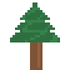 [776dbb] Spruce Tree
