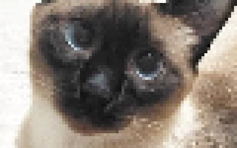 [b2ab8f] Gucci on my Pjs- Btw, u alright?