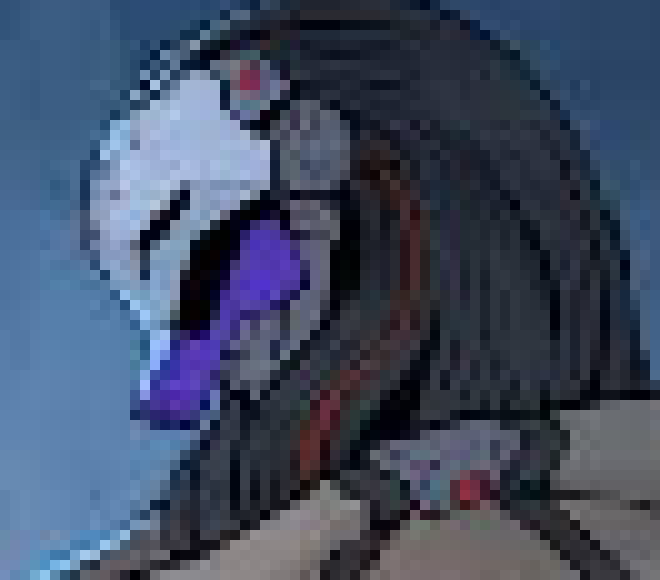 [236914] my family says i look like one of them inflatable tube men literally whenever we pass one they all, in perfect unison go "look t's jay!!!!!!!!" like bro cmon