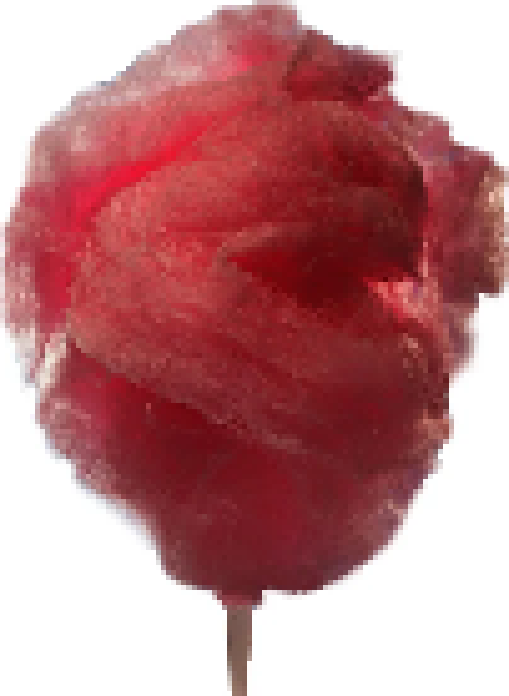 [8de716] i don't look like food shut up dfgdfh