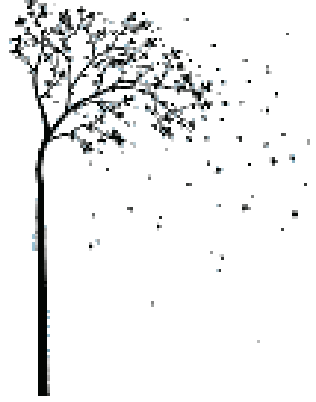 [873388] ArbreOctobre