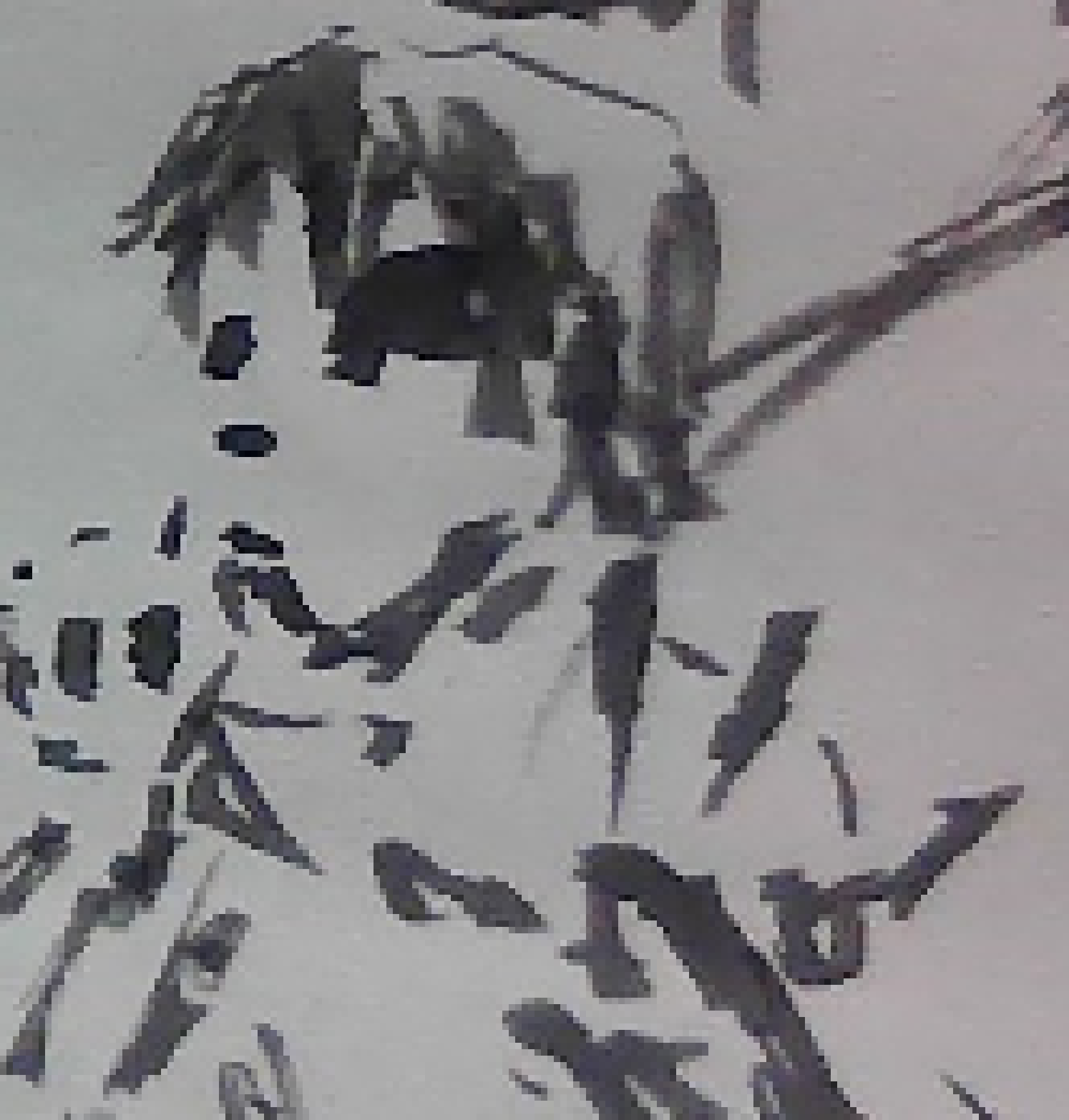 [425065] sc falls for obviously faked anime name like a chud