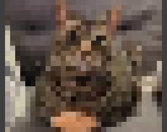 [98cc08] (when i spend 5 minutes trying to think up something not bland to say but i cant so i just waste time)