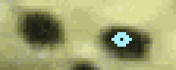 [5b2f3e] you can see exactly why I scrapped it lmfao