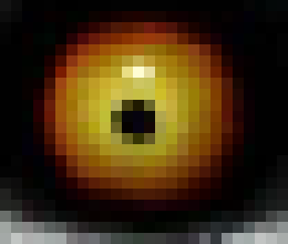 [ab5400] i mean, kirby was with bandana dee, just following him