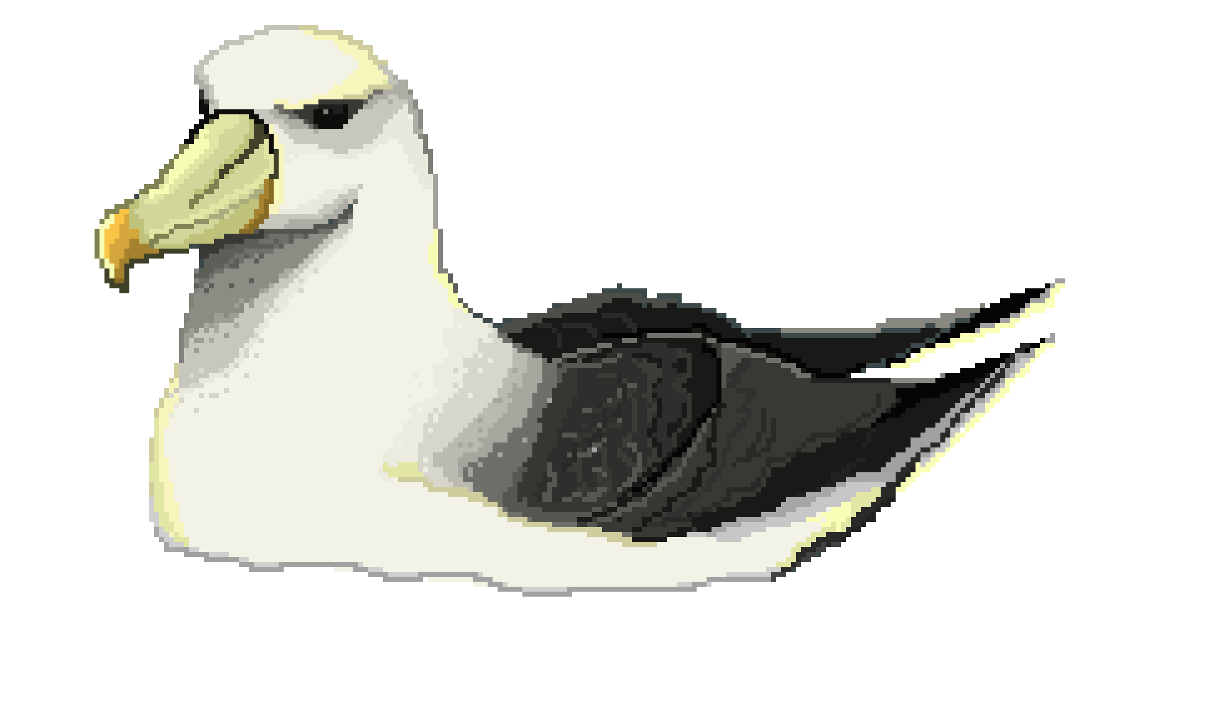 [b1f3df] albatross
