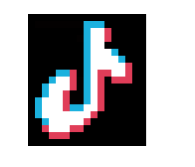 [209ee5] TikTok digital project