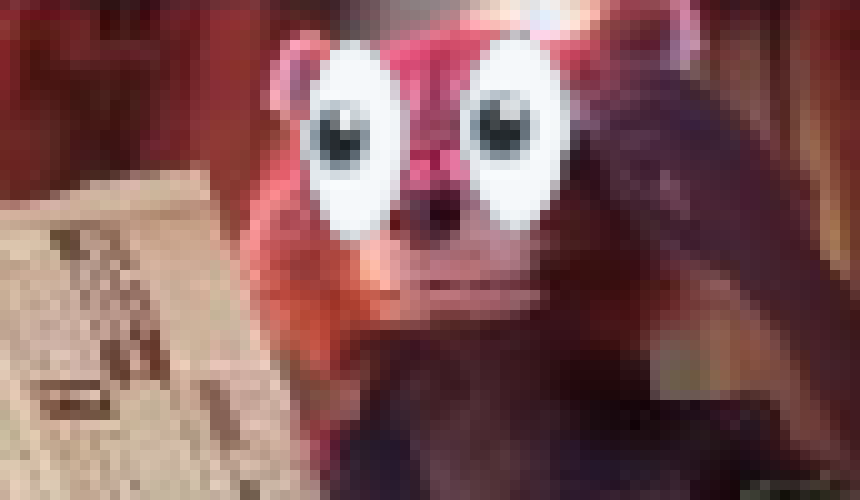 [4955e4] dude holy shit jimmy this is actual fucking peak