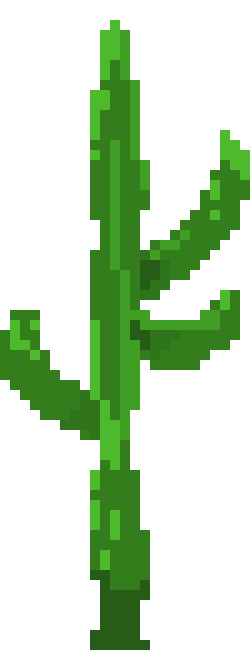 [de3223] cactus_1