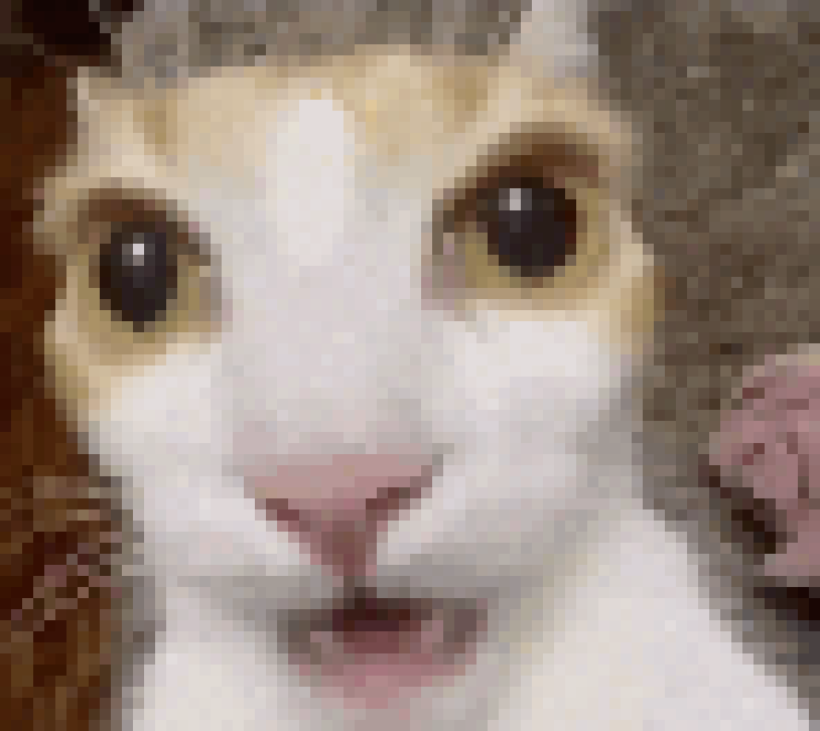 john is RIGHT,,.,.,. cat funny././