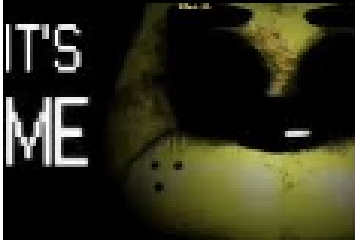 [a105bb] "who would actually buy a Junkrat body pillow???"