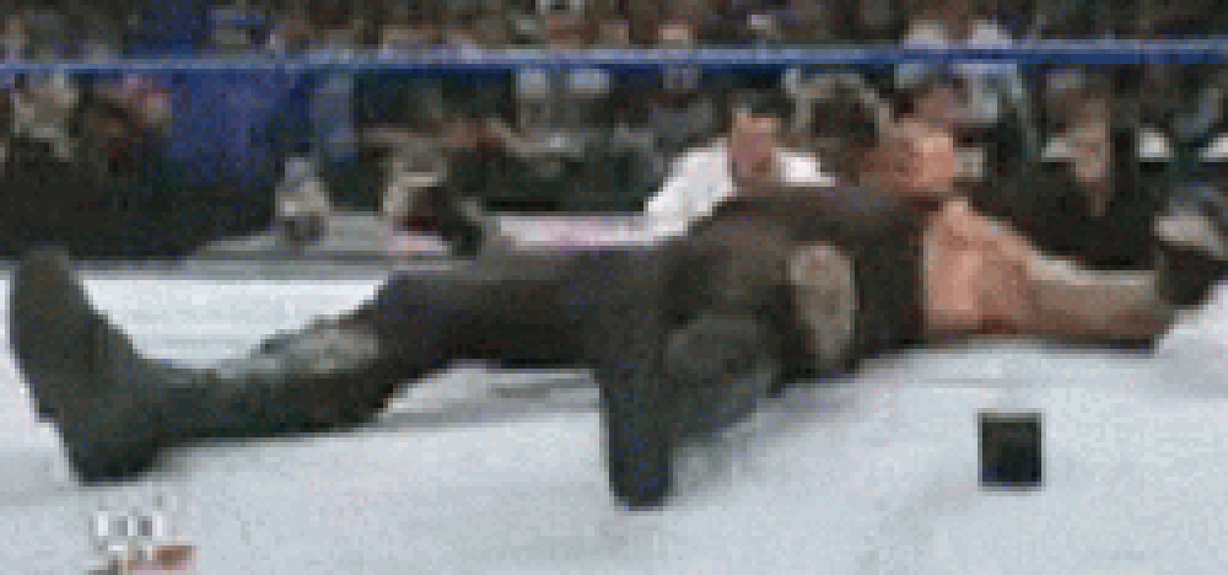 [35dc76] ((ive been looking through past posts to find my first one but i keep getting distracted))